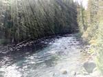 IMG 6972