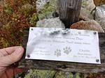 IMG 7155
