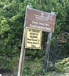 IMG 6575