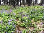 IMG 6576
