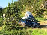IMG 6593