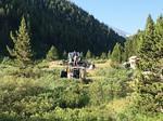 IMG 6594