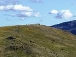 IMG 6603