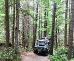 IMG 5856