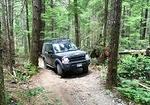 IMG 5863