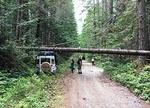 IMG 5869