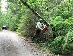 IMG 5881