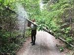 IMG 5882