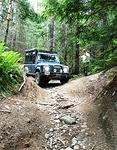 IMG 5917