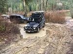 IMG 4984