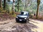 IMG 4985