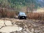 IMG 4989