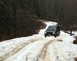 IMG 5059