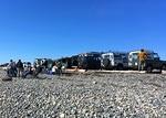 IMG 4505- Tsawwassen Beach March 2019