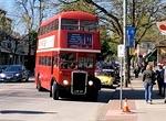 IMG 10869
