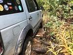 IMG 7381