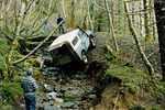 Oregon_creekbank