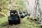 Oregon_lineup
