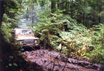 98nwc06