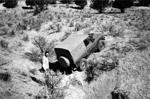 Gordn_in_dirt
