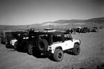 Group_in_lot