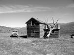 Shack