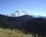 NWC 2002