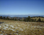 NWC0208