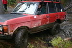 Chauncey slithers around in the mud
