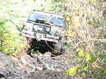 Blazing through the brush making the steep ascent.