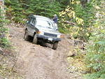 Shooting for the trail to miss the stump on the downhill slope!