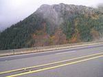 Fall colors on Steven's Pass.