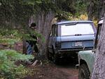 John arguing with another tree.