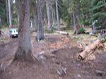 just enough room through the trees for a landrover