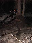 Don't go into the woods alone.jpg