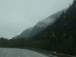 P1010003.JPG