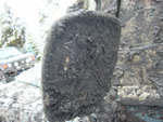 P1010024.JPG