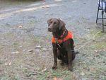 Bill Eastwood's NWC Challenge 2010 043.jpg