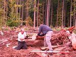What a crappy saw!!.JPG