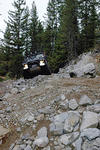 DSC_5553.jpg