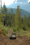 DSC_5703.jpg