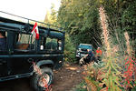 DSC_5786.jpg