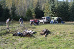 The Boys start gathering wood