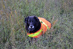 Jaime in his safety vest