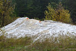 The pile