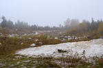 The old quarry