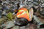 Moss is good, so was mum's sammi!