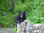 Hoover 0704 012.jpg