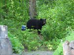 Hoover 0704 016.jpg