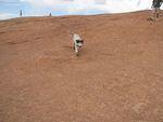 IMG_2555.JPG